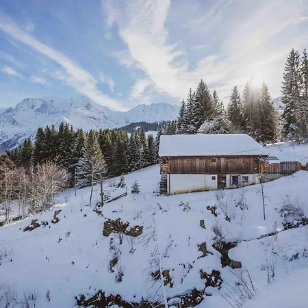 Chalet De L'emey - 12 Pers